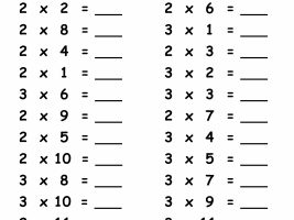 2 & 3 Multiplication Facts Practice