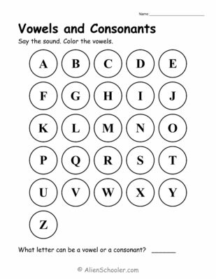 Vowels and Consonants Phonics Worksheet