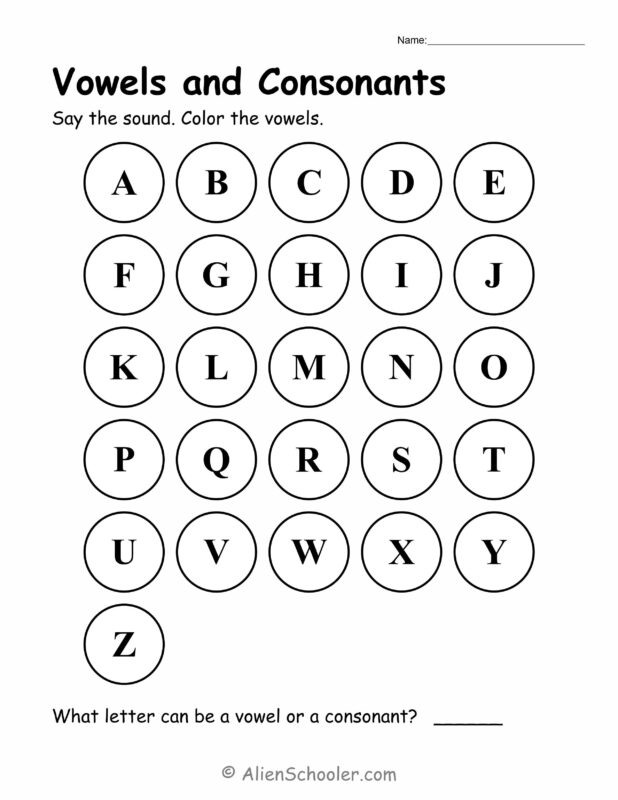 Vowels and Consonants Phonics Worksheet