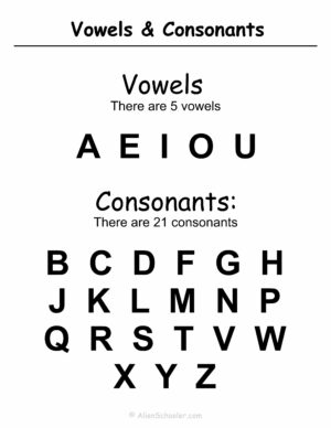 Vowels and Consonants