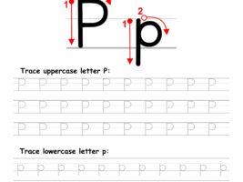Trace Letter P Worksheet