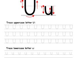 Trace Letter U Worksheet