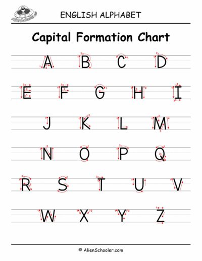 Capital Formation Chart