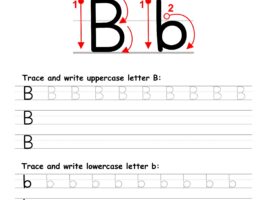 Letter B Writing Practice Worksheet