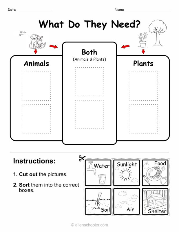 Preview of a kindergarten cut and paste worksheet sorting what plants and animals need to survive, including sun, water, food, and shelter.