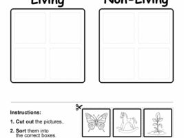 Living vs Non-Living Cut & Paste Sorting Worksheet