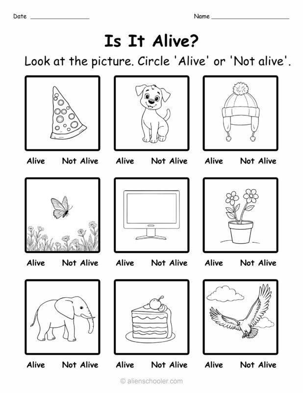 Free Printable: Is It Alive? Sorting Activity for Preschool & Kindergarten