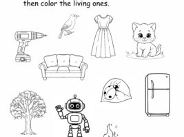 Living and Non-Living Things Coloring & Sort