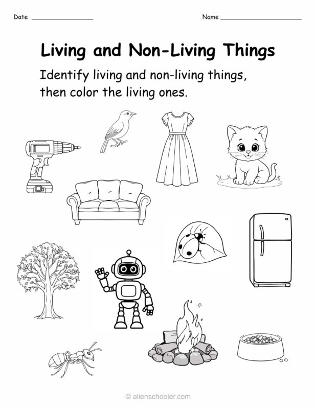 Color and sort worksheet for preschool: identify living and non-living things, then color the living ones.