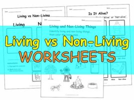 Preview of free printable living vs non-living sorting worksheets for kindergarten, including cut & paste, matching, and check-the-box activities.